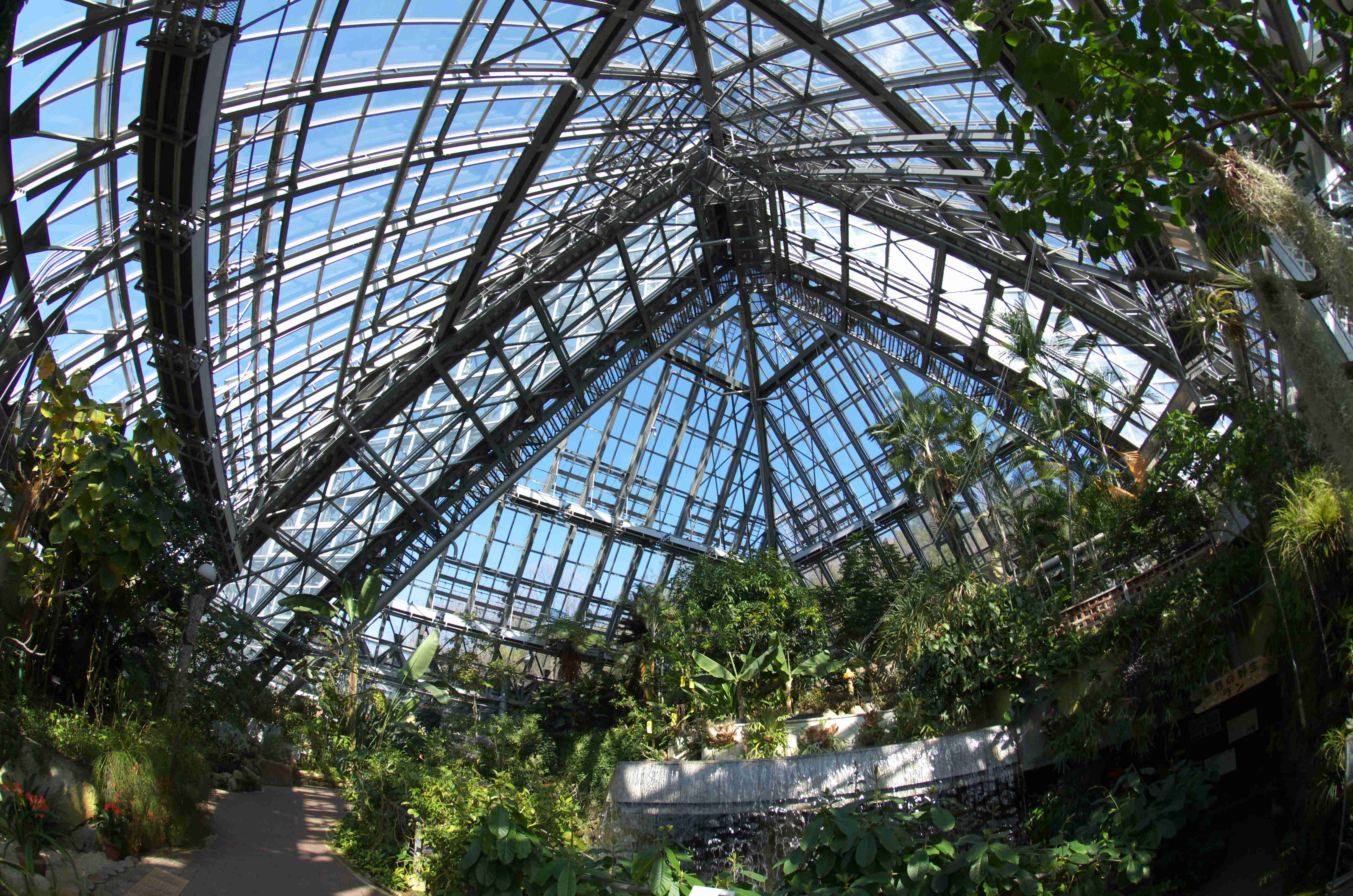 🌸 오사카부립 꽃의 문화원(오사카후리츠 하나노분카엔) 이미지 7